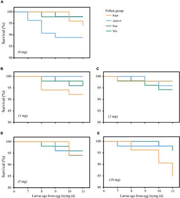 Effects of Three Types of Pollen on the Growth and Development of Honey Bee Larvae (Hymenoptera, Apidae)